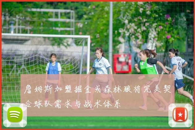 詹姆斯加盟掘金或森林狼将完美契合球队需求与战术体系